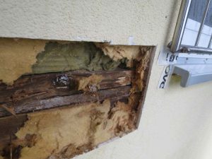 Schäden an Tragekonstruktion Bausubstanz